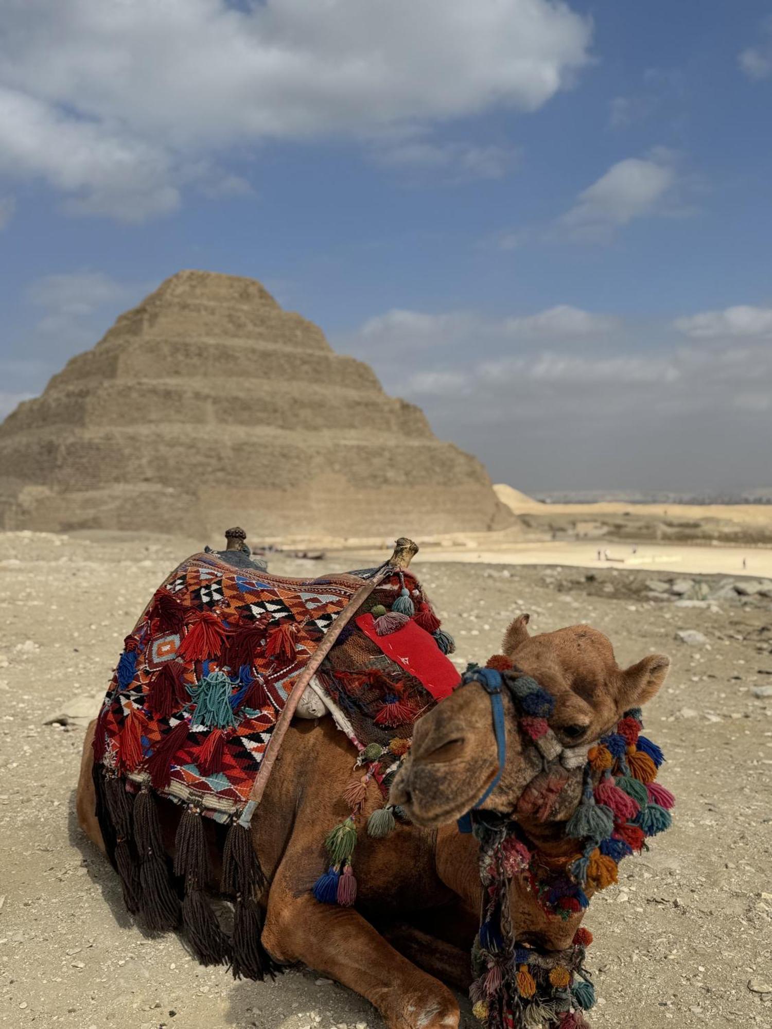 K Boutique Hotel Medspa-Pyramids & Grand Egyptian Museum Ghatati المظهر الخارجي الصورة